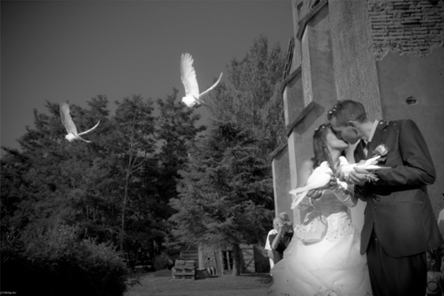 Candice BostYn PhotographY