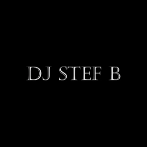 Logo DJ Stef B